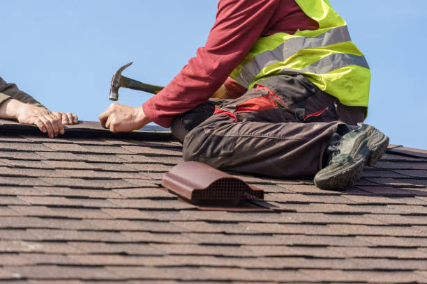 Best Roof Maintenance Services  in Belville, NC